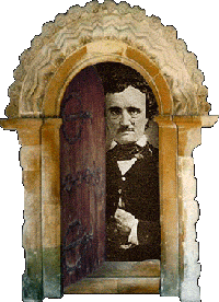 immagine cover